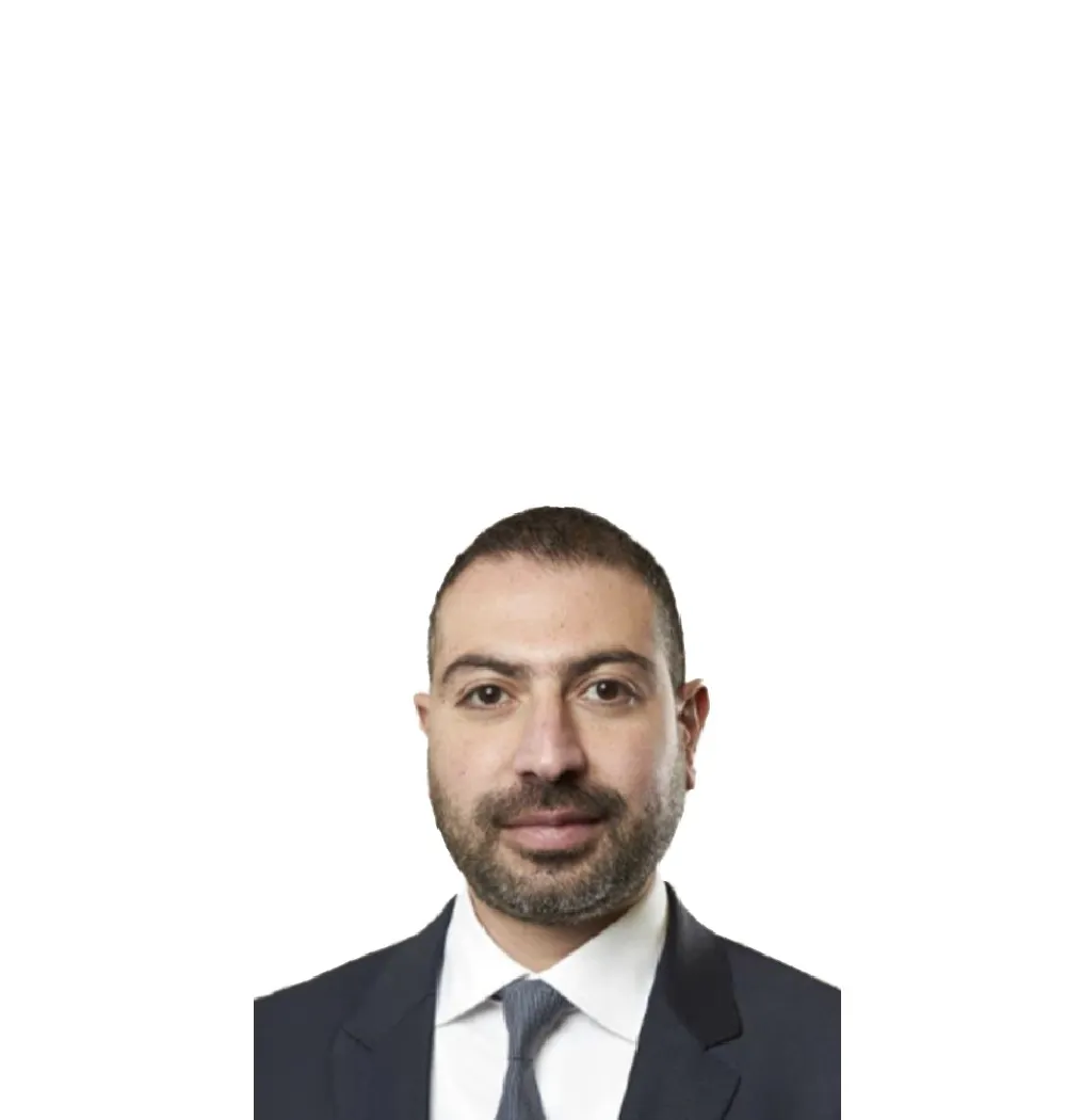 Mostafa Al Anwar-image