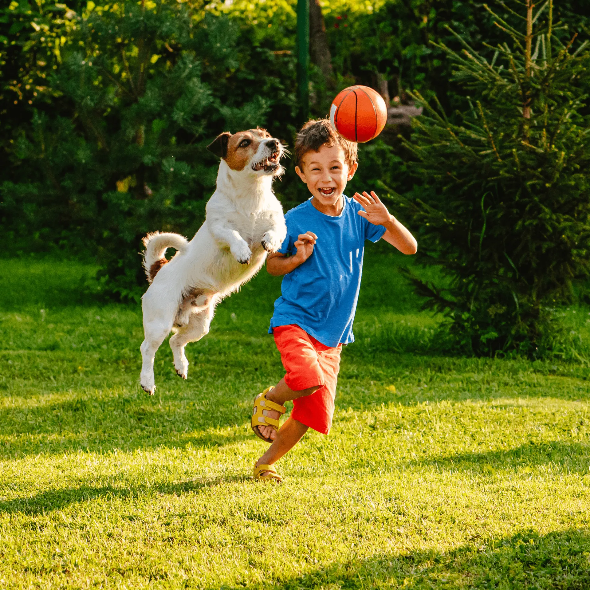 Active Lifestyle