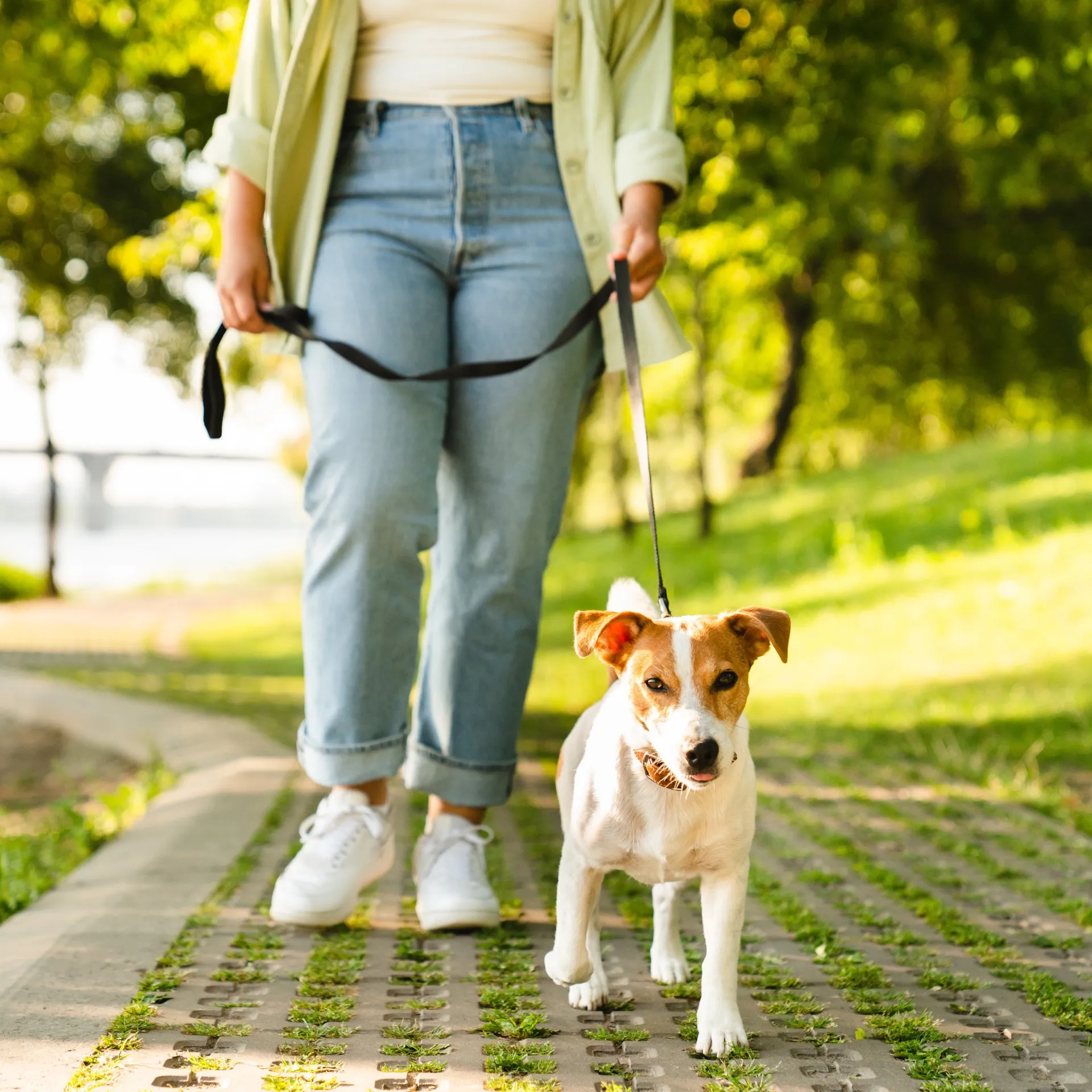 Ideal Walking & Running Paths