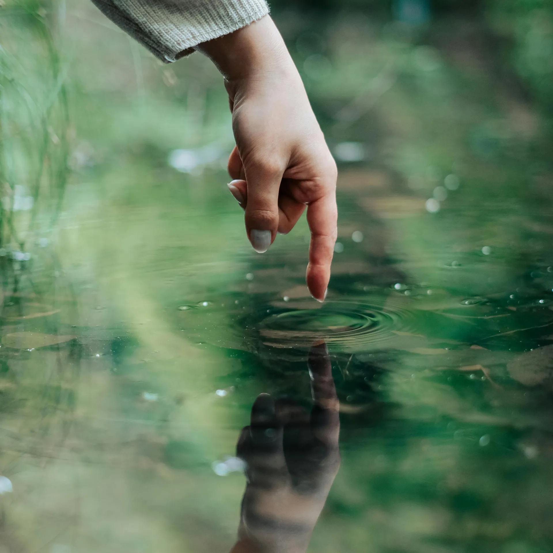Tranquil Waterways