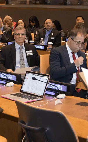 Celebrating the UN latest resolution designating – cover image – Tatweer Misr image