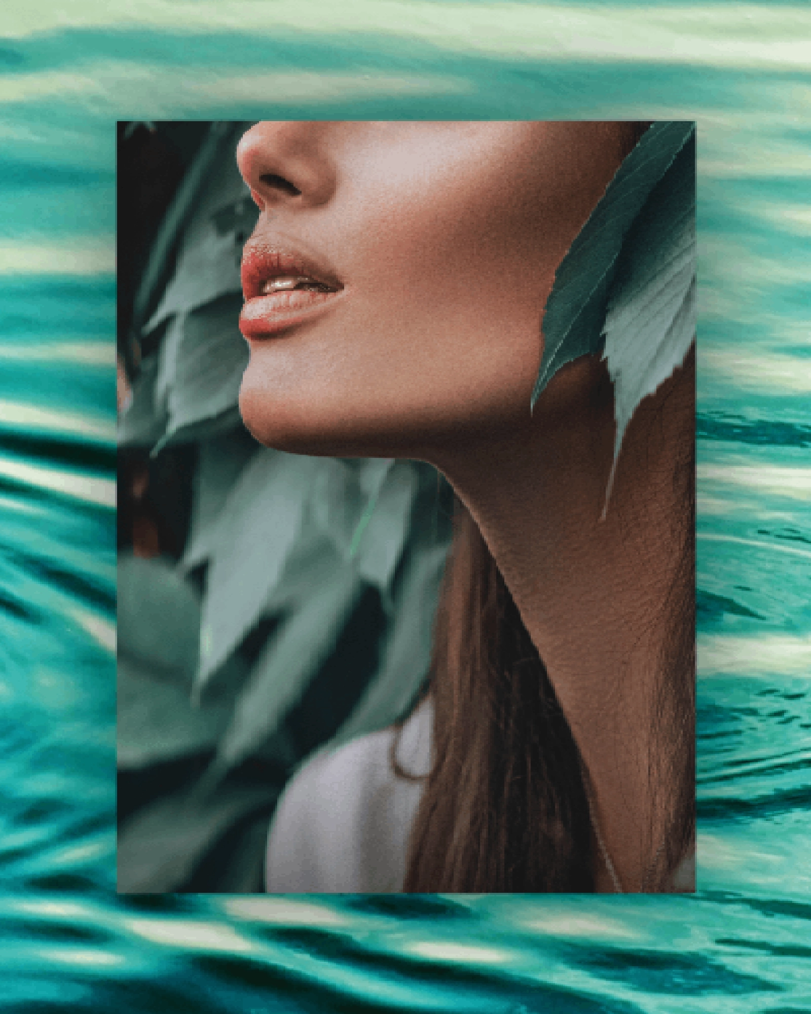 The Lakes – cover image